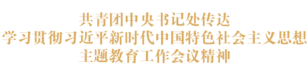 共青團中央書記處傳達學習貫徹習近平新時代中國特色社會主義思想主題教育工作會議精神