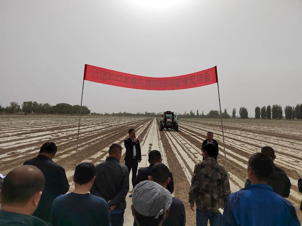 鄉村振興 | 六團召開2023年棉花苗期田間管理現場會