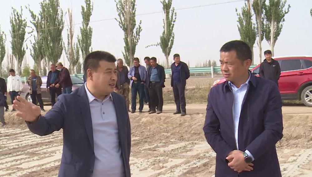 十二團黨員干部赴一團交流  棉花“干播濕出”技術要點