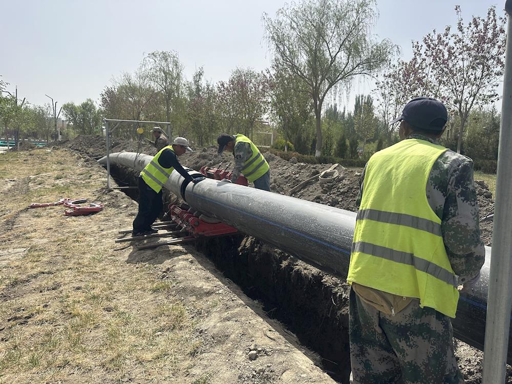 推進綠化管網改造，促進綠化成果鞏固