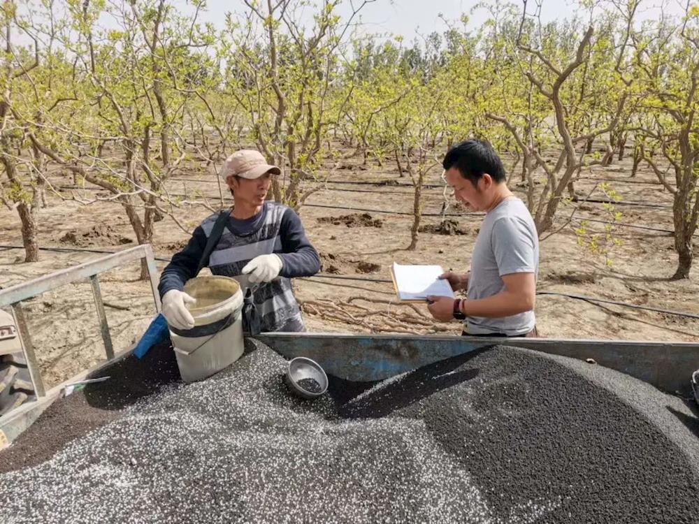 十連開展全域大排查工作