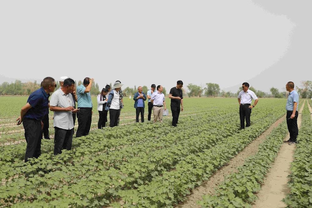 黨建引領(lǐng)|十二團(tuán)召開(kāi)2023年第二季度黨建引領(lǐng)經(jīng)濟(jì)高質(zhì)量發(fā)展、促鄉(xiāng)村振興現(xiàn)場(chǎng)會(huì)