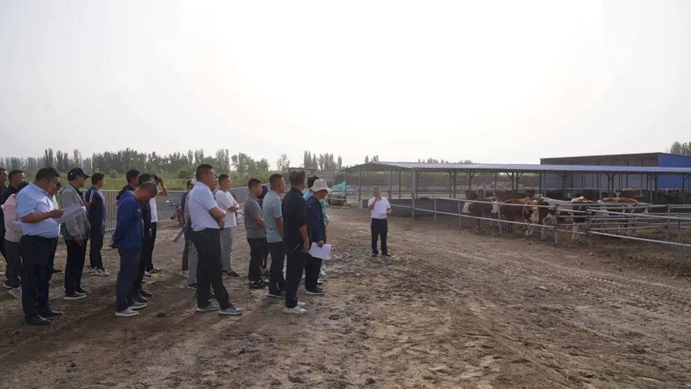 觀摩評比促提升 創新爭先謀發展 | 十一團開展2023上半年高質量發展觀摩會