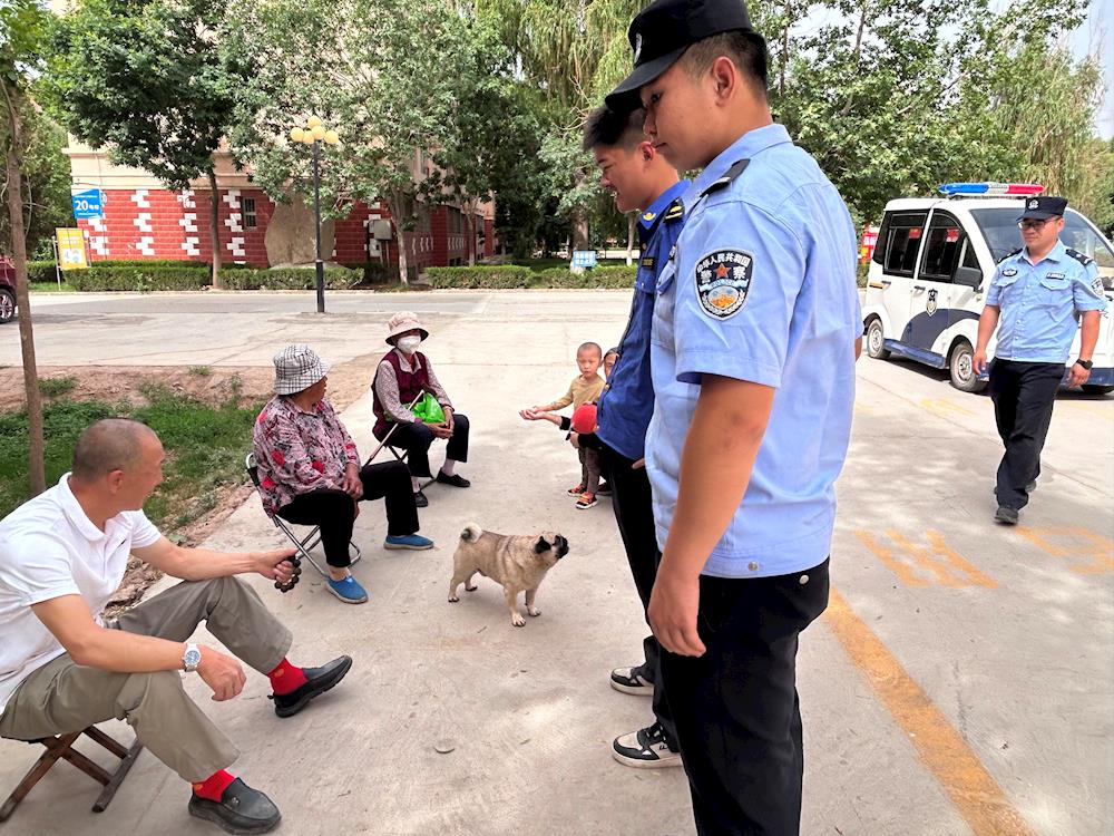 五團沙河鎮開展流浪犬專項整治行動