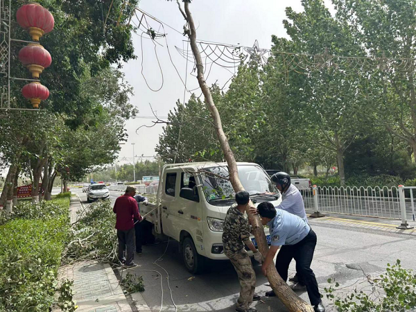 樹木傾倒阻道路 民警清理保暢通