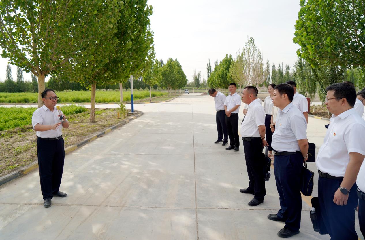 黨建觀摩促交流 凝心聚力同提升