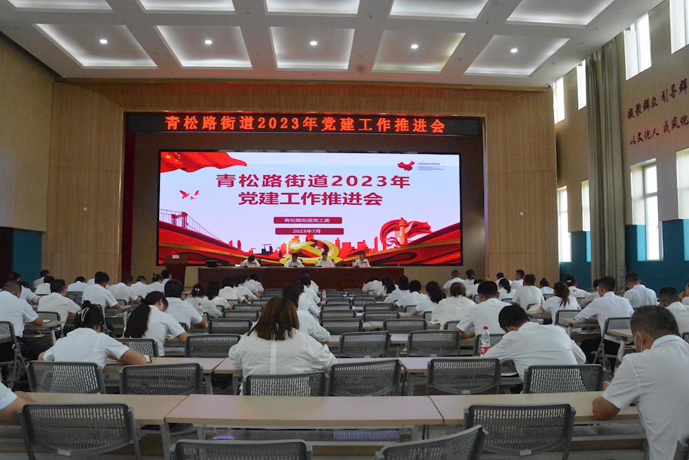 青松路街道召開2023年上半年黨建工作現場推進會