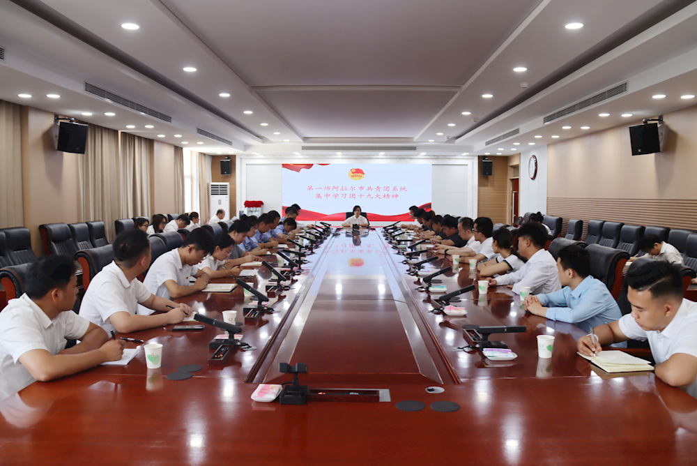 師市共青團系統召開共青團十九大精神專題學習會