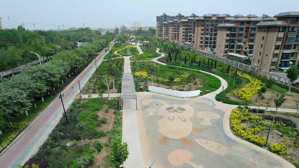 “黨建紅”引領“園林綠”促進“城市美”  ——阿拉爾市綠景園林綠化科技有限公司黨支部 以高質量黨建賦能企業高質量發展