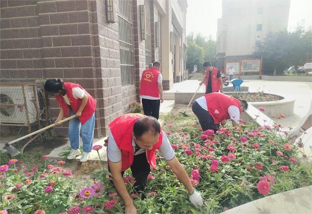 【金楊之窗】十四團塞上明珠社區開展環境整治行動