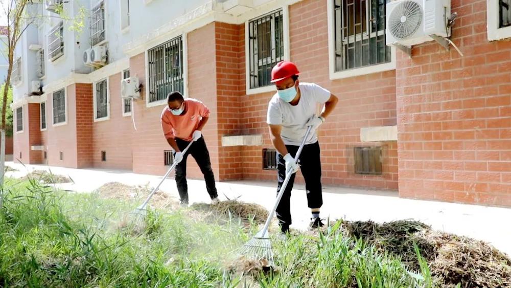 一團創衛：清掃整治再提升 黨員干部帶頭干