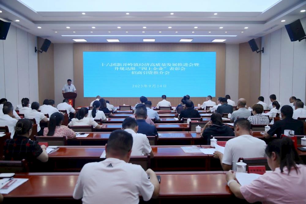 十六團新開嶺鎮召開經濟高質量發展推進會暨升規達限“四上企業”表彰會招商引資推介會