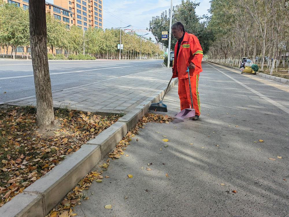 秋掃落葉“首戰”已打響