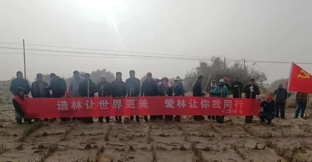 十二團開展2023年秋季阿沙公路段義務植樹活動