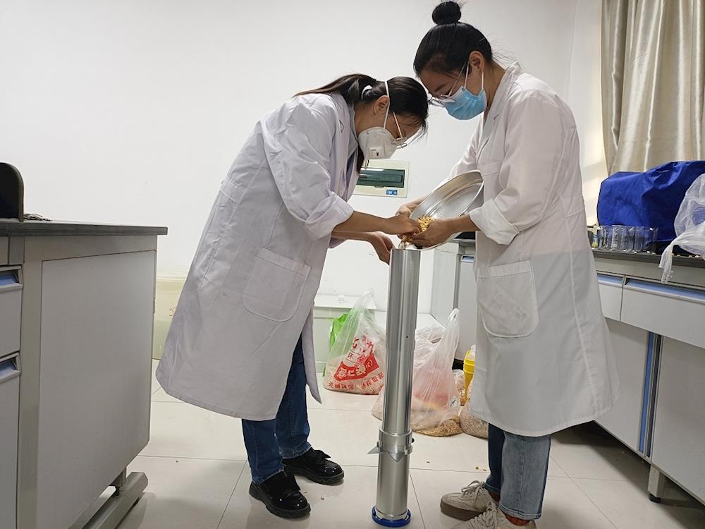 阿拉爾質量技術監督綜合所有序開展玉米質量安全監測工作   