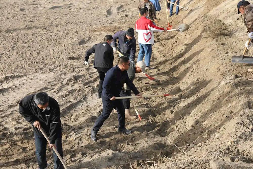 植樹造林進行時丨全民同參與 共建綠色文明生態“家”