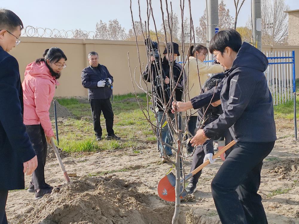 踐行正確政績觀 續寫沙海變林海