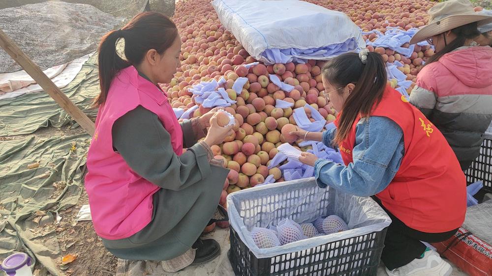 五團(tuán)十三連婦聯(lián)執(zhí)委立足崗位做婦女兒童的“溫暖使者”