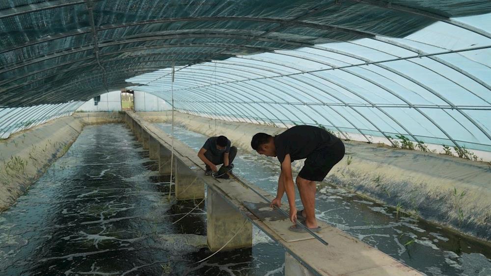 鄉村振興丨產業引領奏響鄉村振興“進行曲”