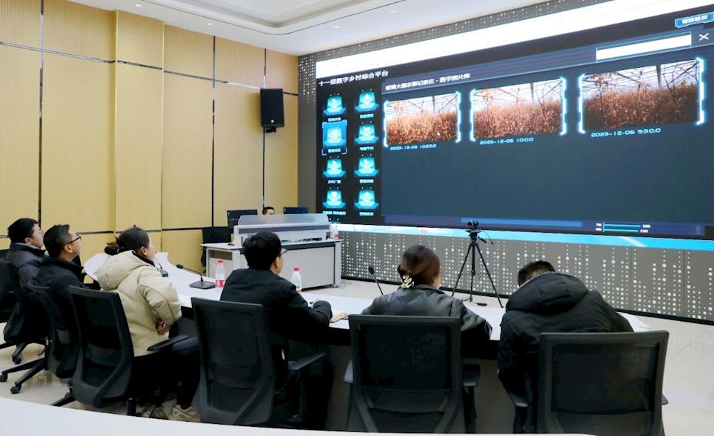 集中培訓增素養(yǎng) 數(shù)字賦能促發(fā)展——十一團舉辦數(shù)字鄉(xiāng)村工作業(yè)務培訓班