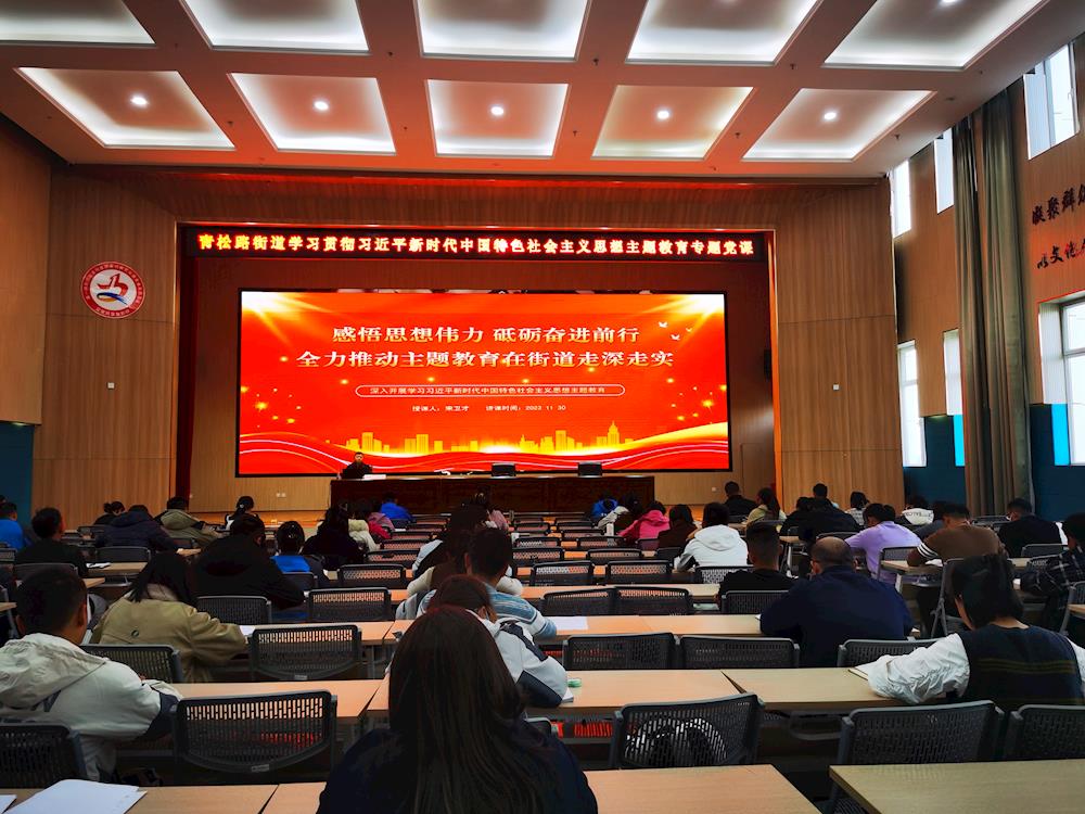 主題教育進(jìn)行時(shí)丨青松路街道黨工委書(shū)記宋衛(wèi)才講專(zhuān)題黨課