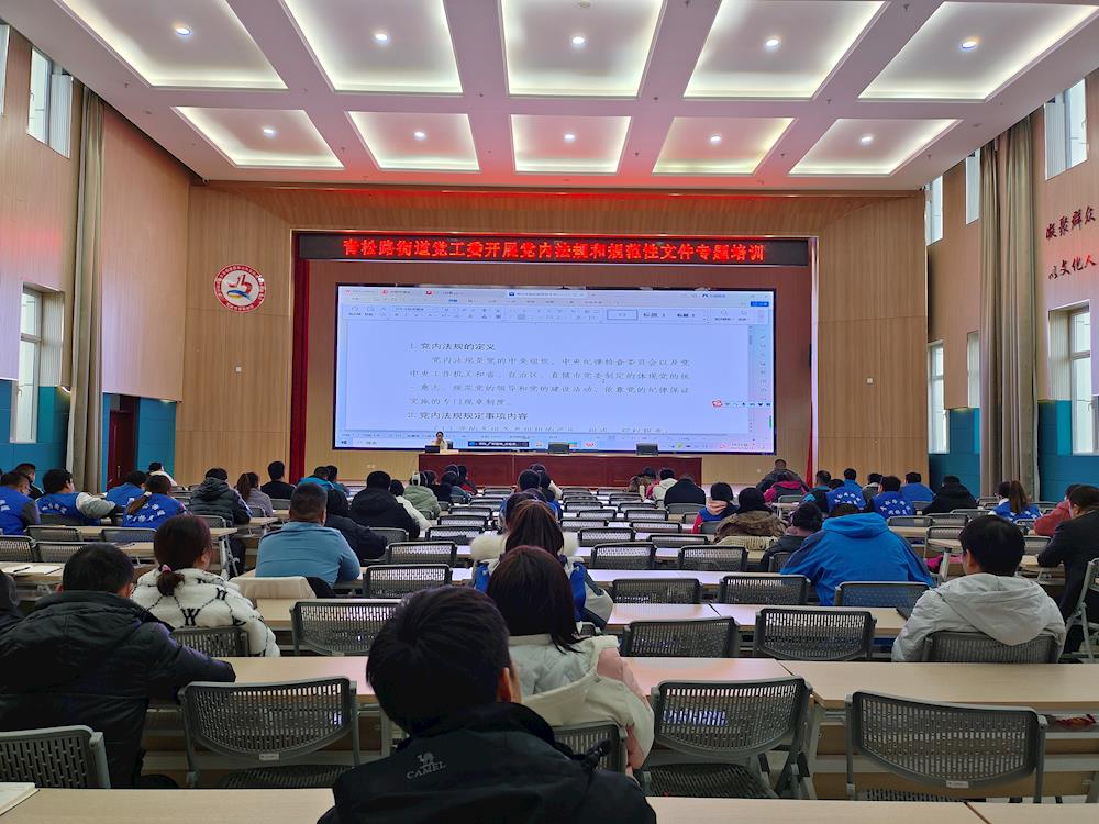 學法規明職責 切實增強黨內法規執行力——青松路街道黨工委開展黨內法規專題培訓