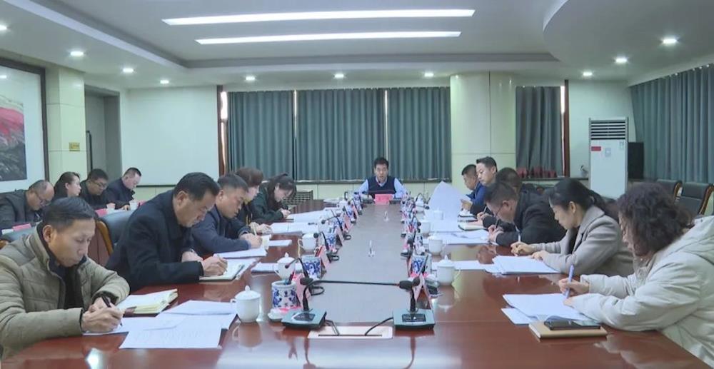 一團金銀川鎮召開2024年首季度“開門紅”抓項目促投資攻堅行動會議