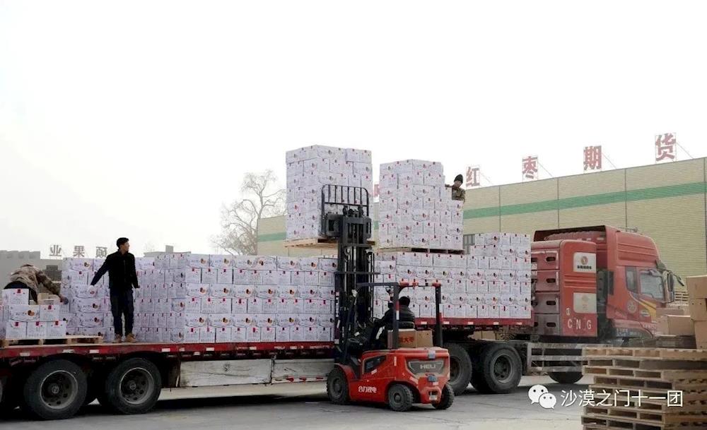 規模躍升，效益飆升！十一團鼎碩果業領跑未來，創新賦能發展新征程