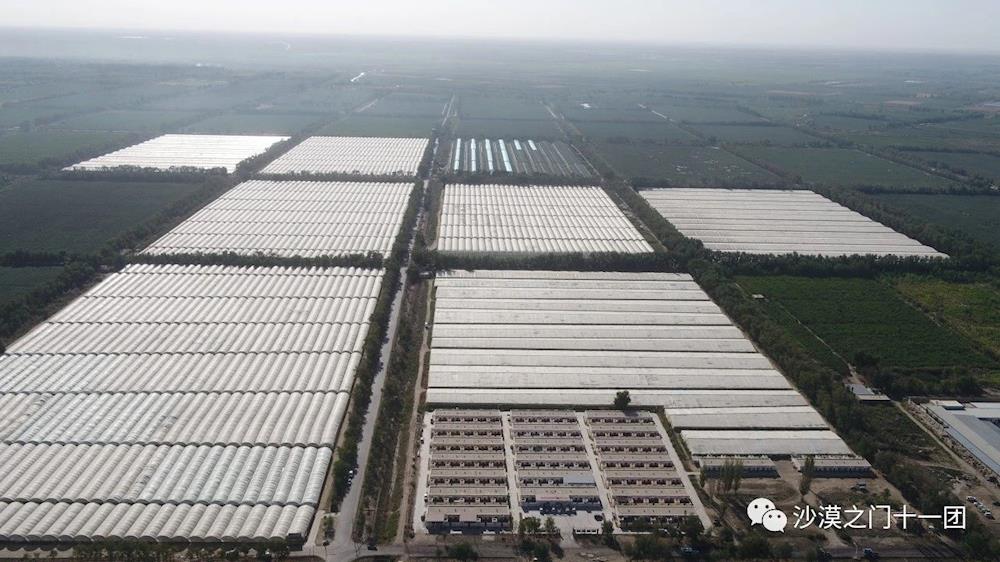 鄉村行·看振興丨深耕特色產業 賦能高質量發展