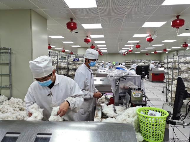 2023年度師市棉花質量監測工作順利結束