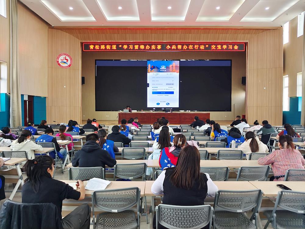 學(xué)雷鋒辦實(shí)事 小兵幫辦在行動(dòng)