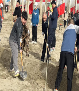 師市黨委統戰部黨支部開展“黨建引領促發展 植樹添綠我先行”主題黨日活動