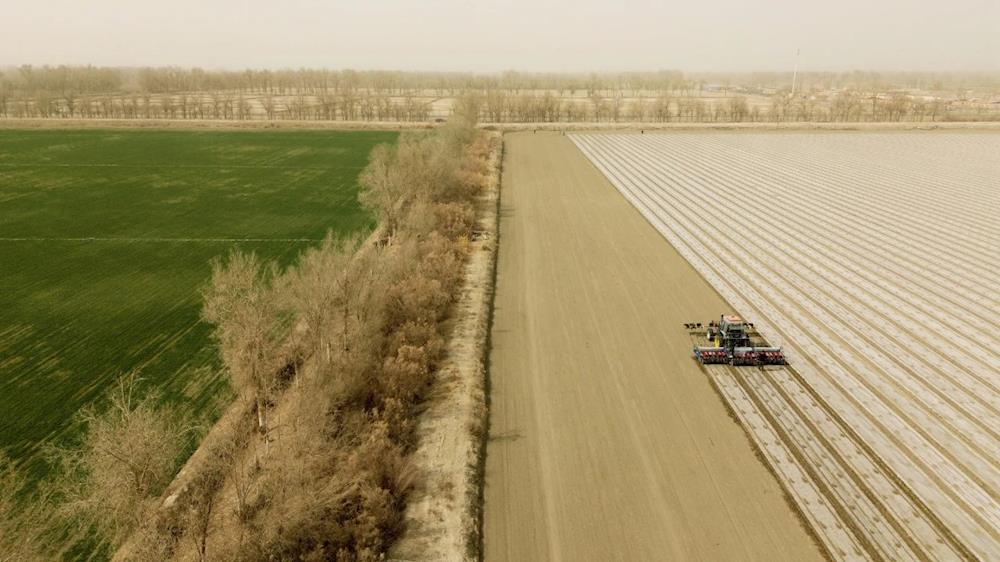 兩會(huì)精神在基層丨新質(zhì)生產(chǎn)力賦能，春耕春播譜新篇