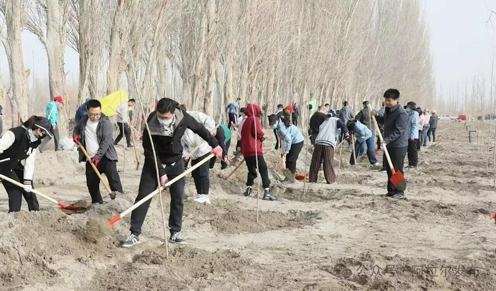 師市財政局（國資委、金融辦）開展2024年  春季義務植樹造林活動   