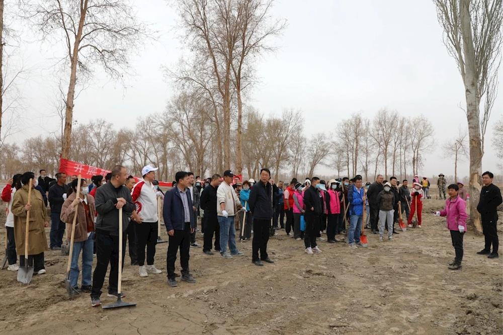 生態衛士丨植樹添綠，共筑生態屏障