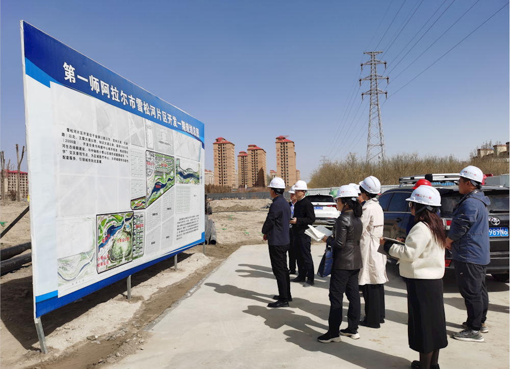 金銀川路街道開展人大代表、政協委員聯組集中視察調研活動