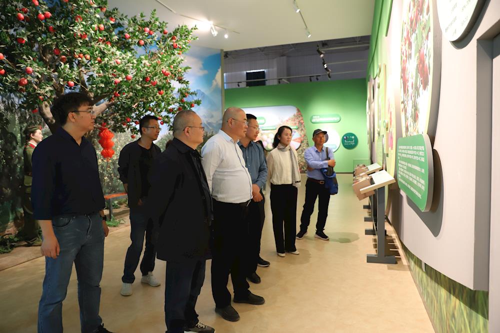 西北農林科技大學教授趙政陽一行在五團開展蘋果產業調研
