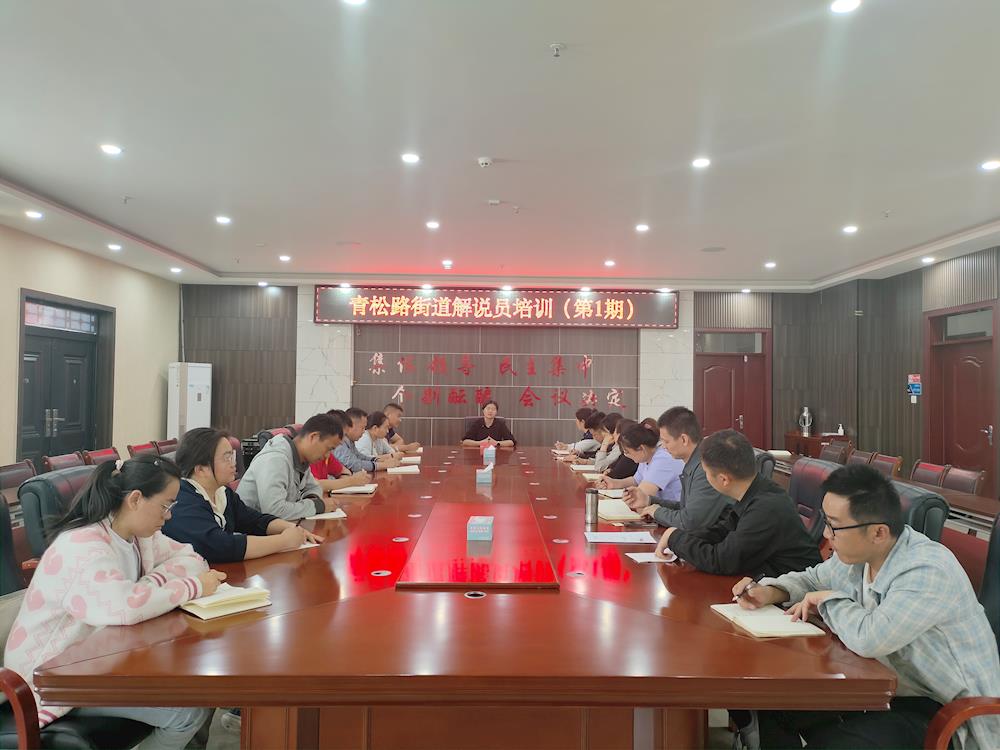 培訓(xùn)促發(fā)展 學(xué)習(xí)強技能 | 青松路街道辦事處開展解說員培訓(xùn)