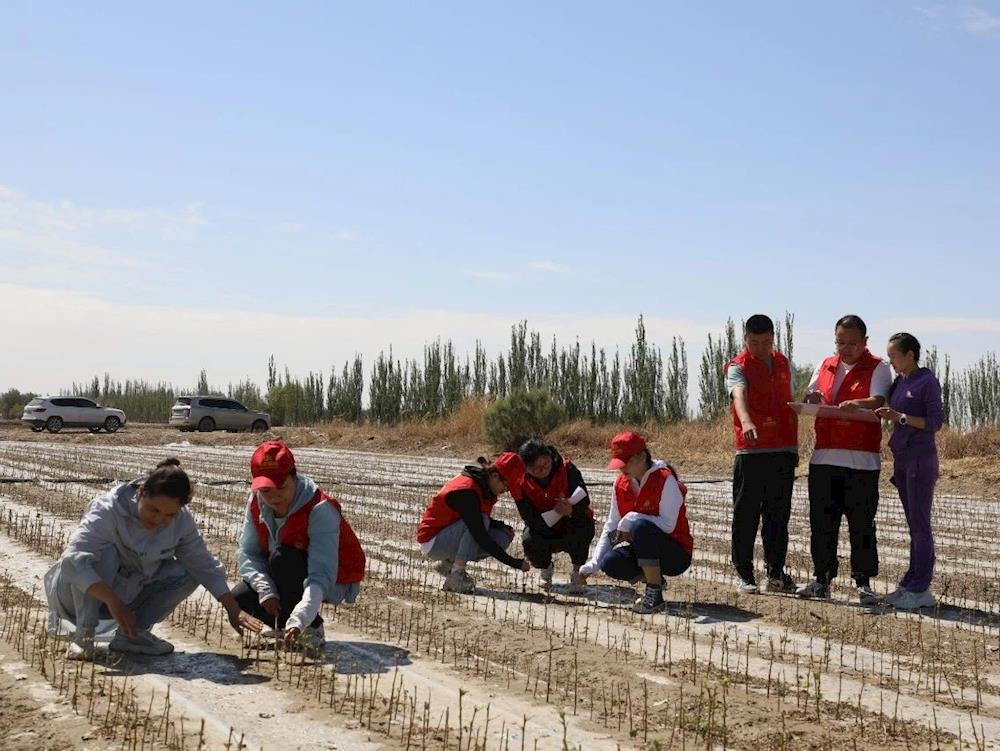 【工作動態】中華財險十二團分公司：全力做好保險理賠服務，積極發揮國企責任擔當