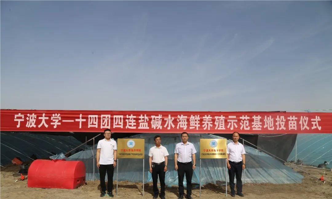 三門青蟹成功入駐十四團鹽堿地