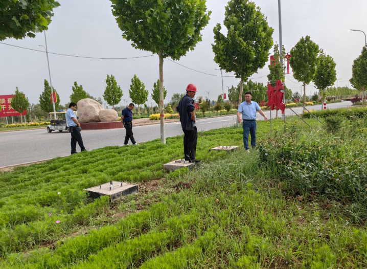 團鎮綠化 | 綠化環境大整治，提升團鎮好形象