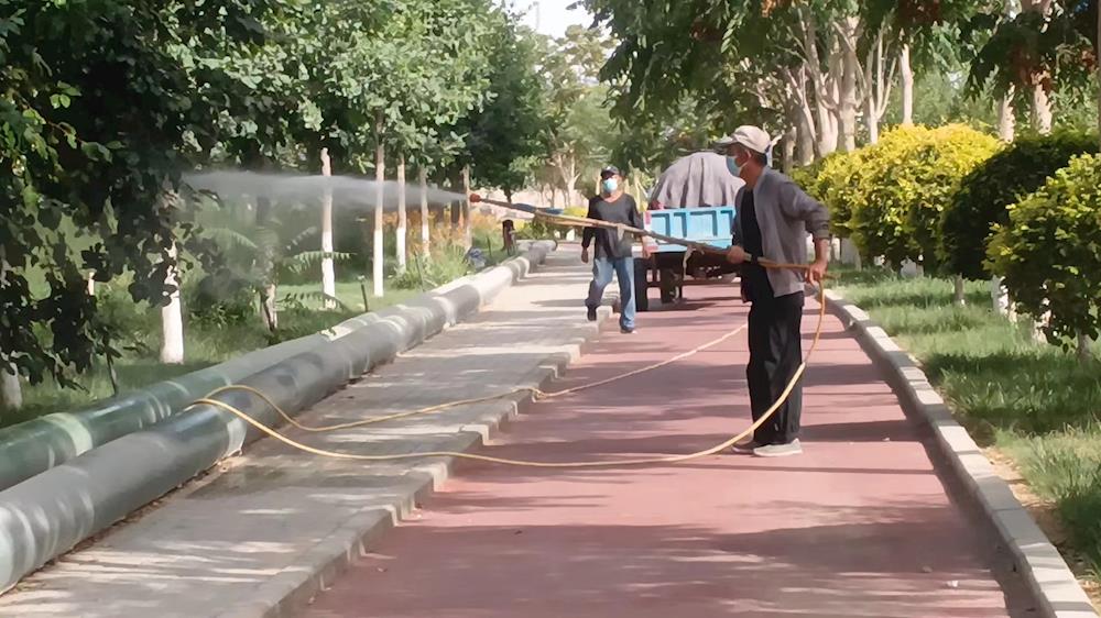 開展精準防治，鞏固綠化成果