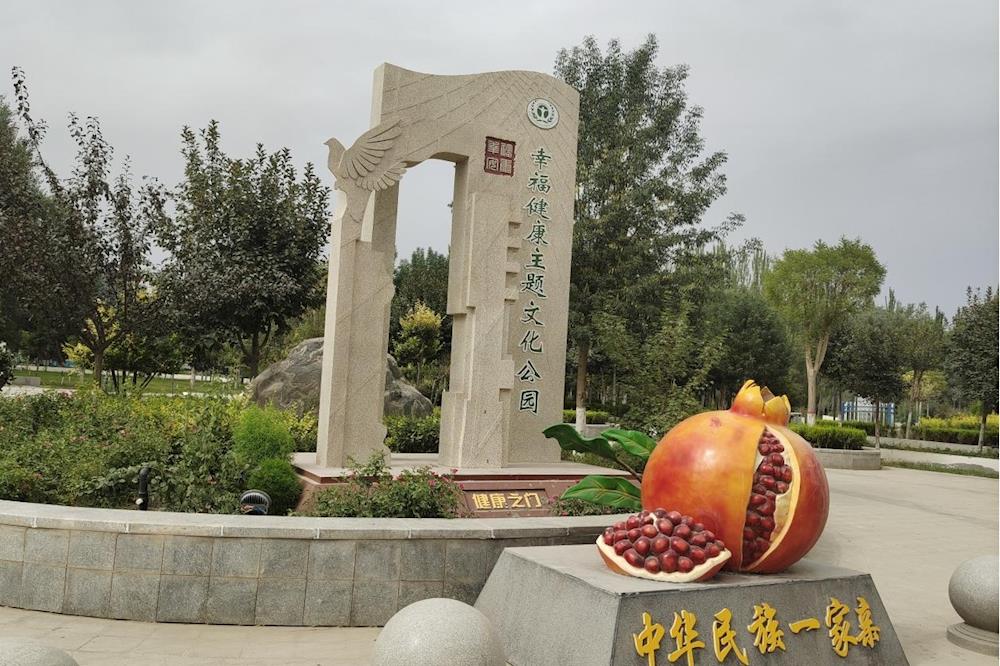 師市衛健委、新苑社區等黨支部在健康主題公園開展全民健身運動主題黨日活動