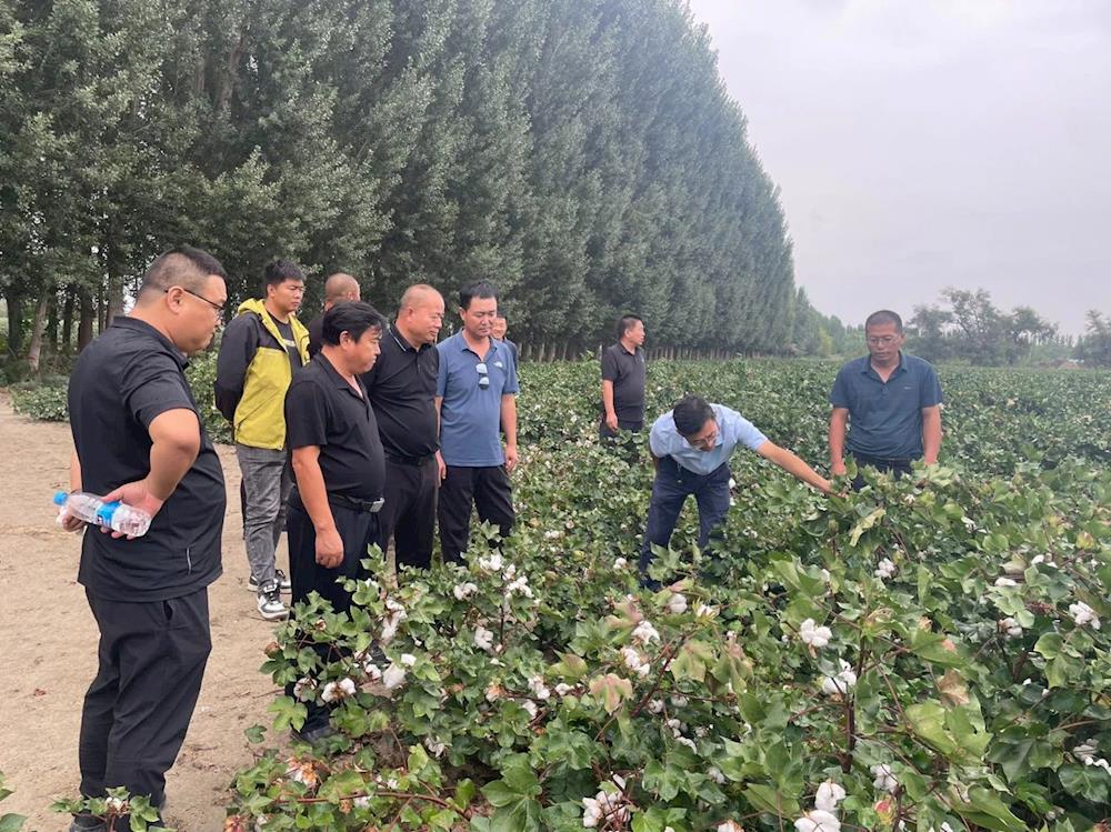 【農(nóng)業(yè)動(dòng)態(tài)】十二團(tuán)連隊(duì)領(lǐng)導(dǎo)干部赴七師學(xué)習(xí)交流