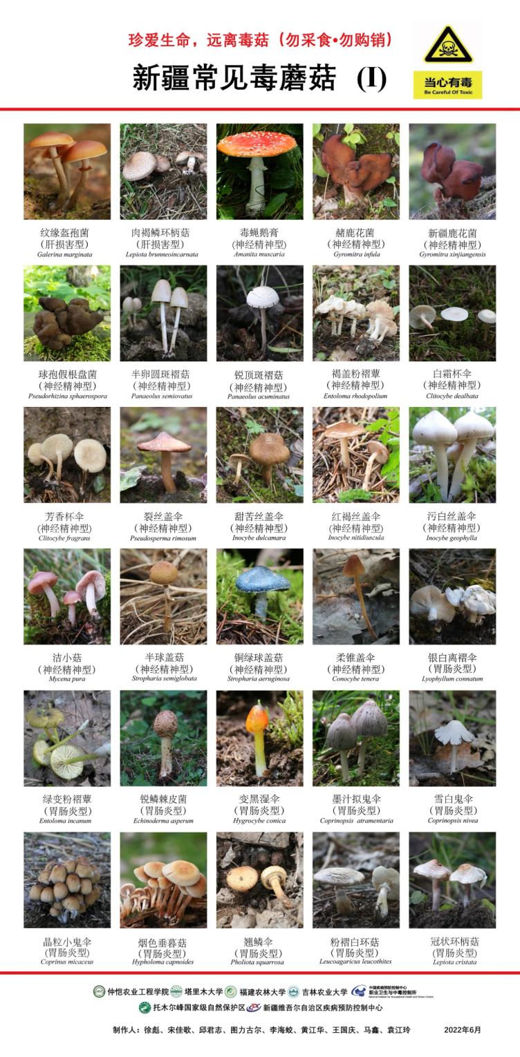 關于近期食用野生毒蘑菇、植物中毒風險提示