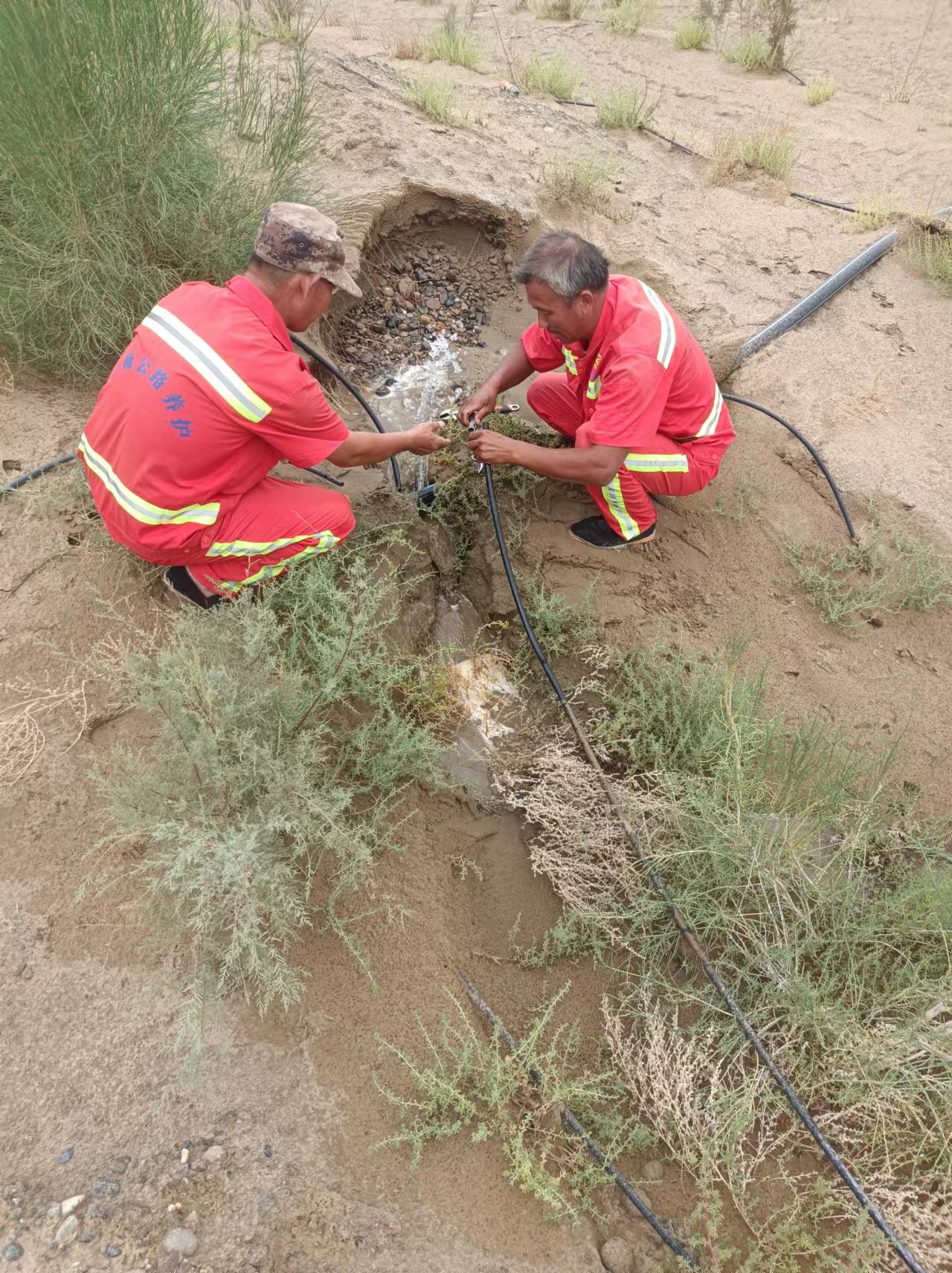 與天爭勝   固沙護路保通行