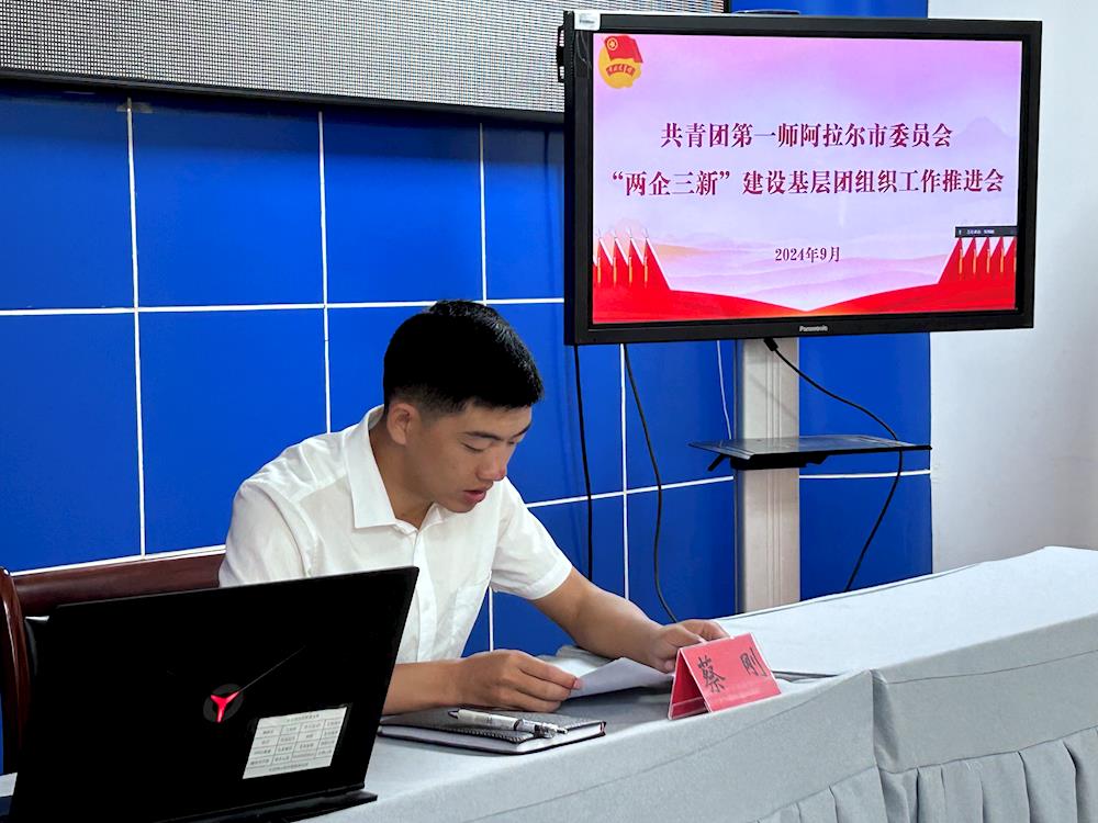 師市團委召開“兩企三新”建設基層團組織工作推進會