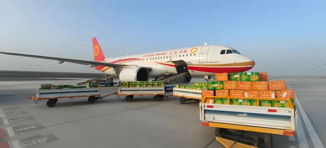 阿拉爾機場建設有限公司航空貨運代理業務即將開啟！