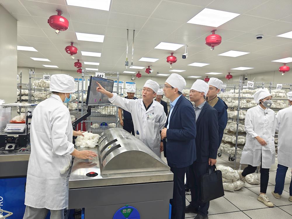 國家發展改革委價格司來第一師阿拉爾市調研棉花工作