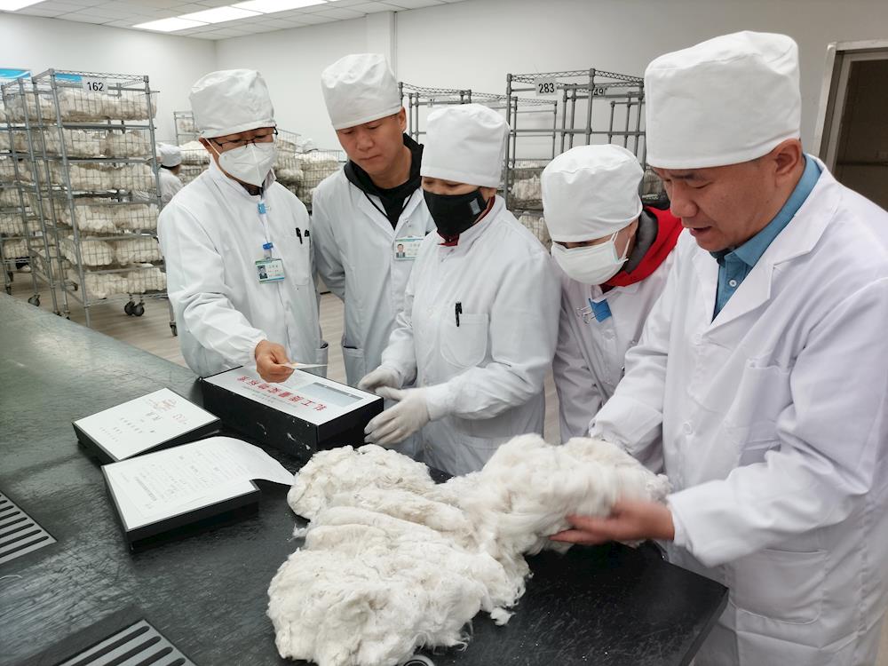 中國棉花公證檢驗阿拉爾實驗室2024年10月已檢棉花近5萬噸